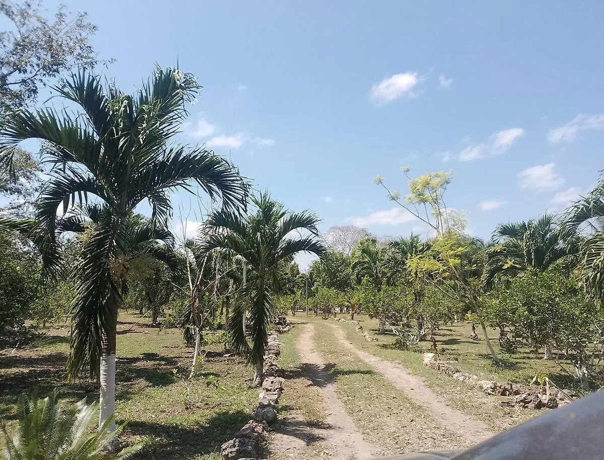 Apartment In Finca Mayfran Xul-Ha 0*,