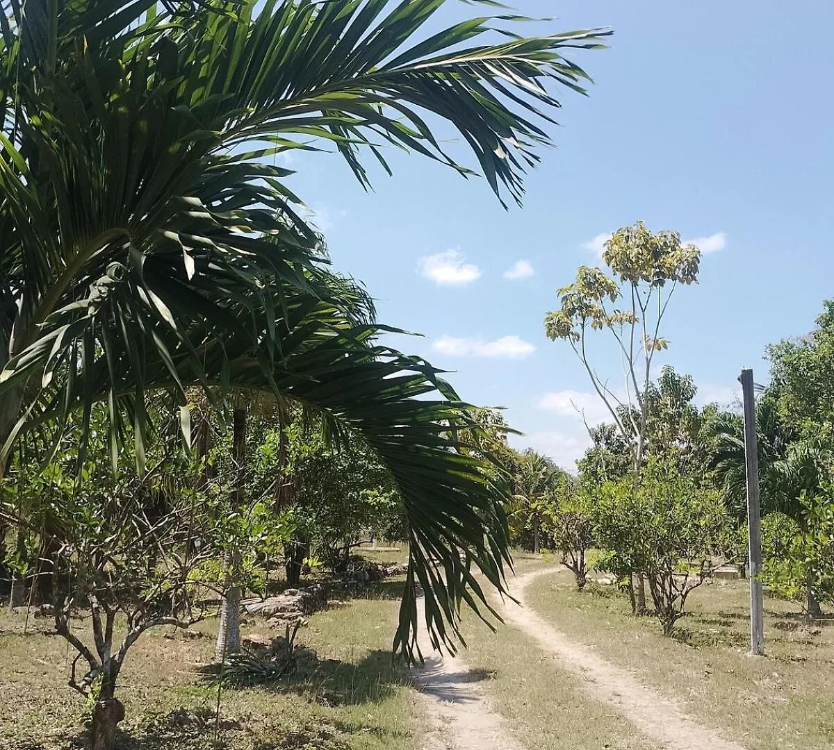 Apartment In Finca Mayfran Xul-Ha