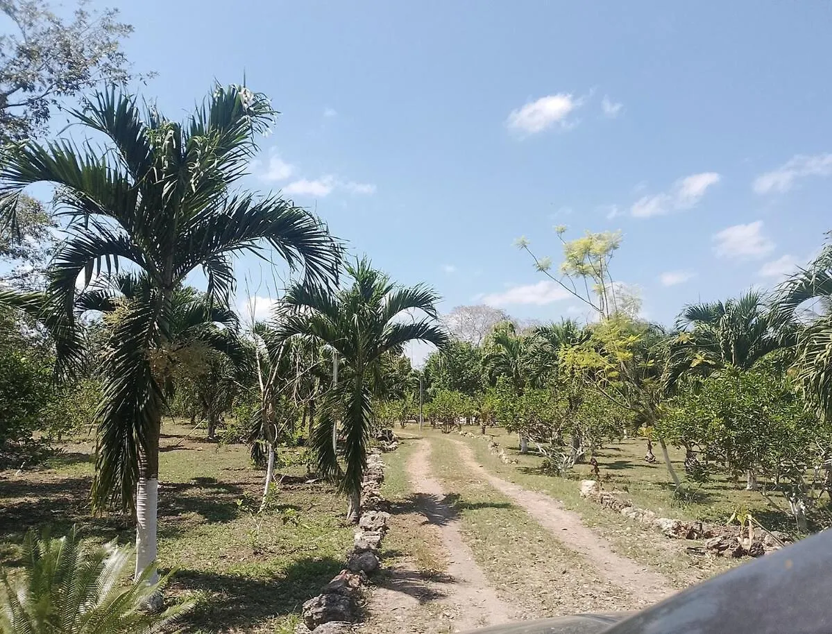 Apartment In Finca Mayfran Xul-Ha