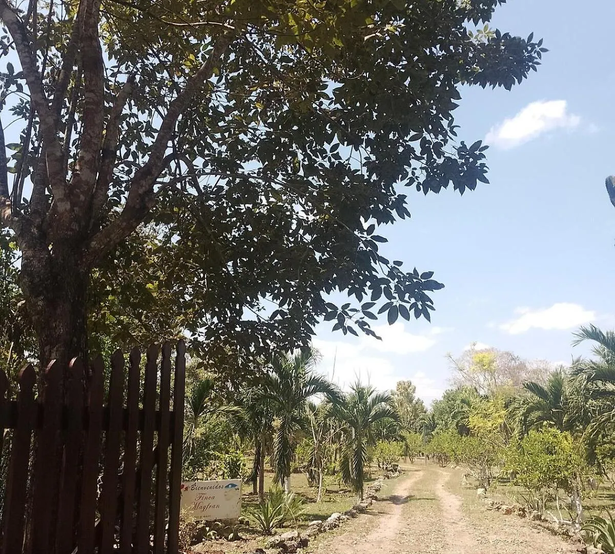 Apartment In Finca Mayfran Xul-Ha 0*,