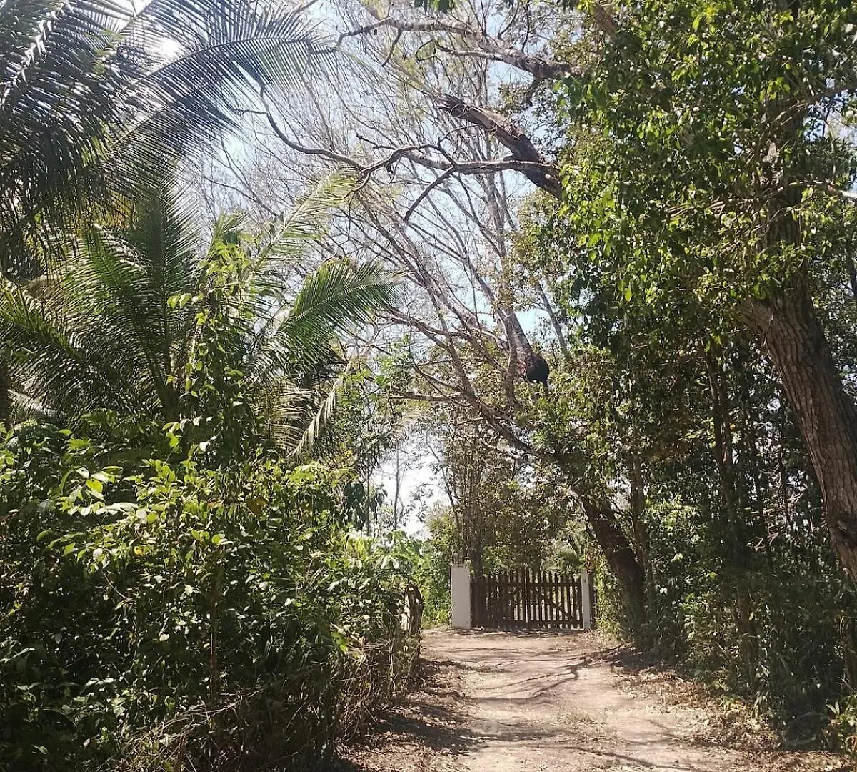 Apartment In Finca Mayfran Xul-Ha